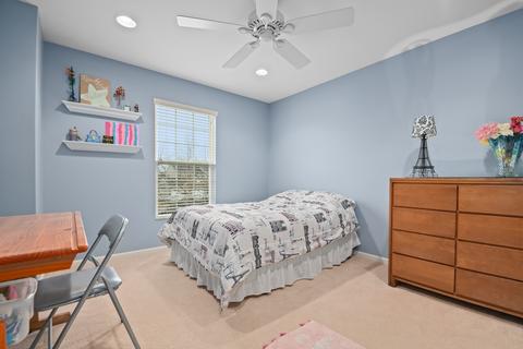 25002 Blue Iris Ct S, Plainfield, IL 60585 photo 20