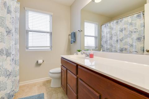 25002 Blue Iris Ct S, Plainfield, IL 60585 photo 22