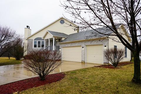 16154 S Howard St, Plainfield, IL 60586 photo 3