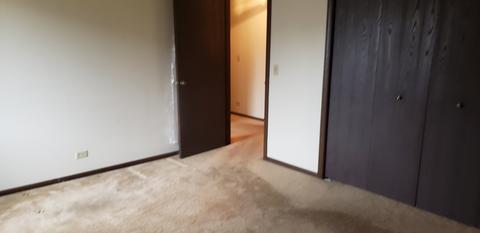 686 Shenandoah Trl, Elgin, IL 60123 photo 13
