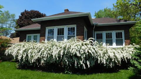 1712 Ash St, Des Plaines, IL 60018 photo 30