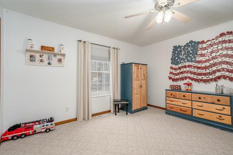 169 E 3rd St, Braidwood, IL 60408 photo 16