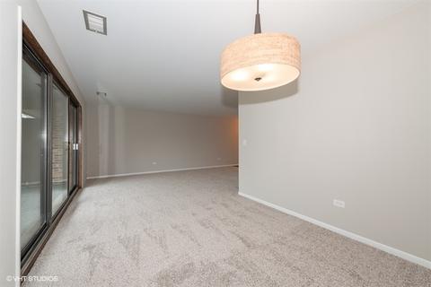 6159 Brookside Ln #D, Willowbrook, IL 60527 photo 7