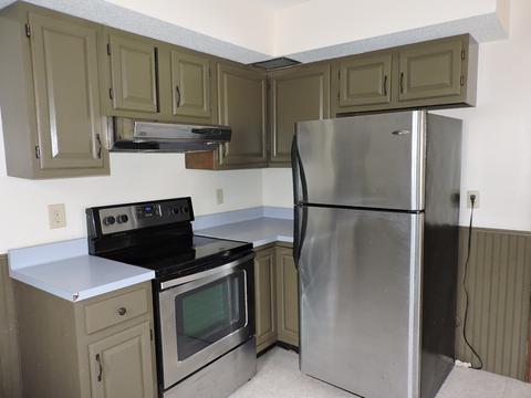 117 E Conron Ave, Danville, IL 61832 photo 17