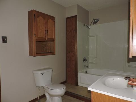 117 E Conron Ave, Danville, IL 61832 photo 14