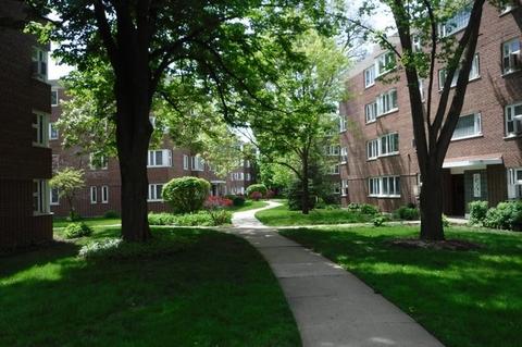7204 Oak Ave #1SE, River Forest, IL 60305 photo 3