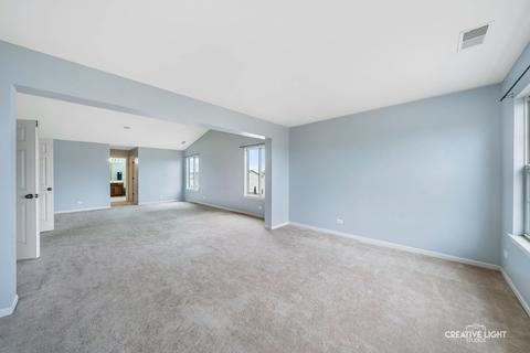 3629 Bailey St, Plano, IL 60545 photo 33