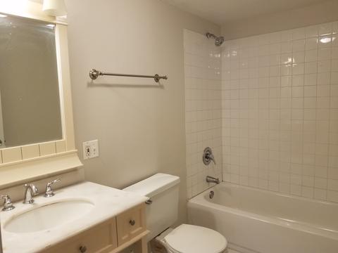 120 E 45th St #1E, Chicago, IL 60653 photo 19