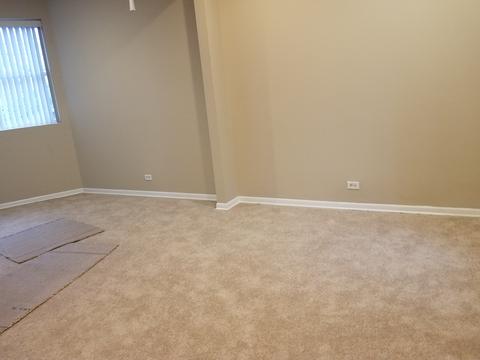 120 E 45th St #1E, Chicago, IL 60653 photo 9