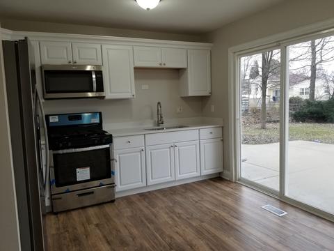 1123 Hunter Dr, Elgin, IL 60120 photo 13