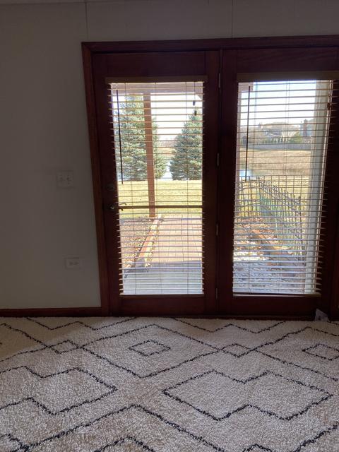 13621 Arborview Blvd, Plainfield, IL 60585 photo 29