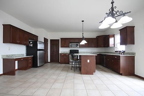13621 Arborview Blvd, Plainfield, IL 60585 photo 7