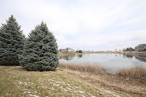 13621 Arborview Blvd, Plainfield, IL 60585 photo 45