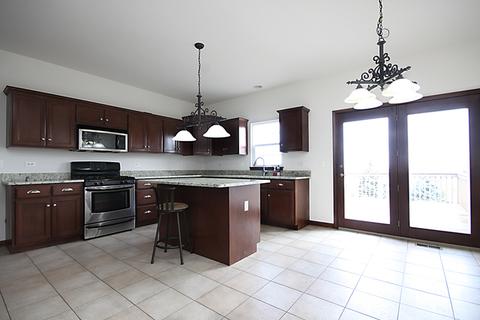 13621 Arborview Blvd, Plainfield, IL 60585 photo 6