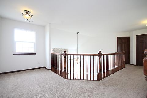 13621 Arborview Blvd, Plainfield, IL 60585 photo 24