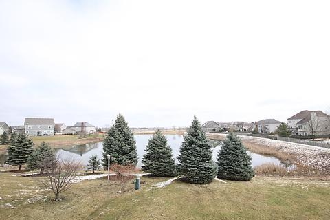 13621 Arborview Blvd, Plainfield, IL 60585 photo 43