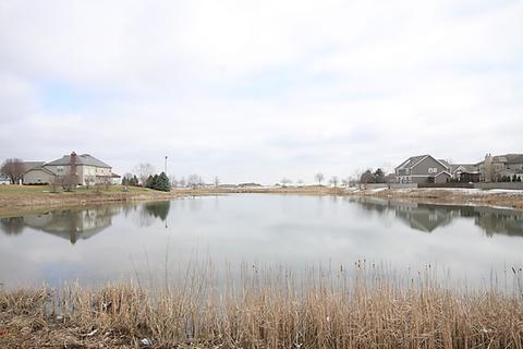 13621 Arborview Blvd, Plainfield, IL 60585 photo 46