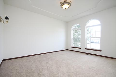 13621 Arborview Blvd, Plainfield, IL 60585 photo 21