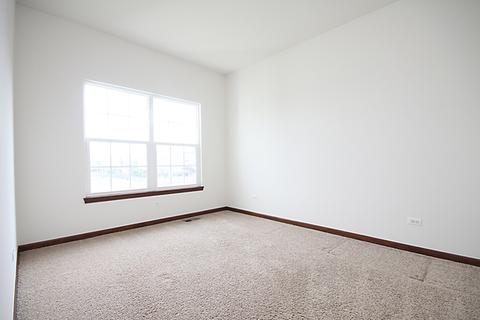 13621 Arborview Blvd, Plainfield, IL 60585 photo 22