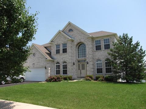 13621 Arborview Blvd, Plainfield, IL 60585 photo 1