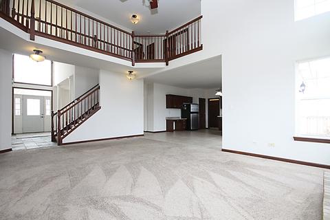 13621 Arborview Blvd, Plainfield, IL 60585 photo 9