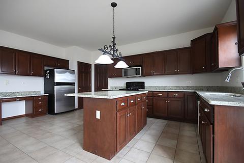 13621 Arborview Blvd, Plainfield, IL 60585 photo 4