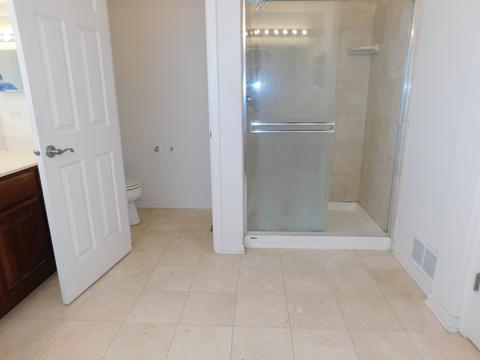 5822 River Birch Dr, Hoffman Estates, IL 60192 photo 31