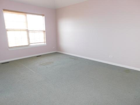 5822 River Birch Dr, Hoffman Estates, IL 60192 photo 17