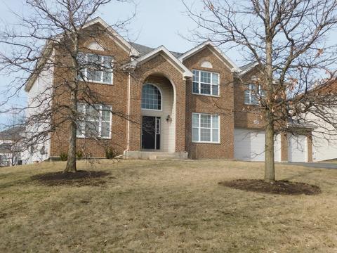 5822 River Birch Dr, Hoffman Estates, IL 60192 photo 2