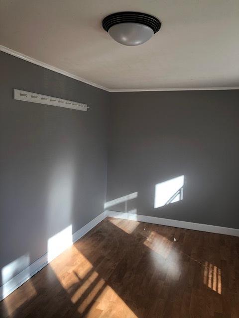 434 Maple Ave, Aurora, IL 60505 photo 3