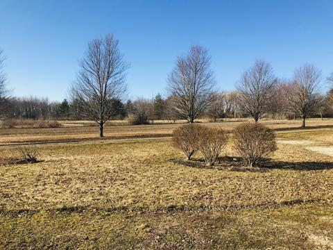 6514 Johnson Rd, Hebron, IL 60034 photo 5
