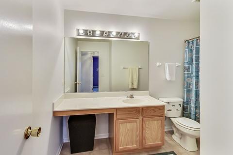 24311 Linden Ln, Plainfield, IL 60585 photo 30