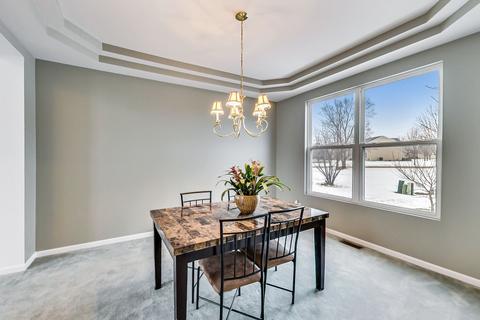 24311 Linden Ln, Plainfield, IL 60585 photo 9