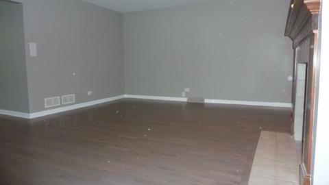 209 Windsor Dr, Bartlett, IL 60103 photo 9