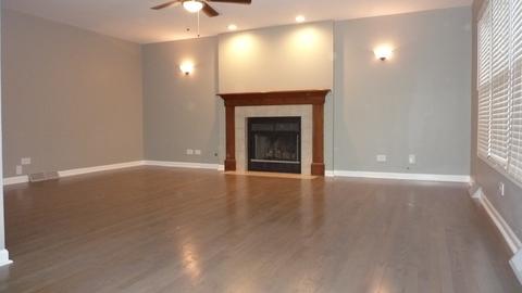 209 Windsor Dr, Bartlett, IL 60103 photo 7