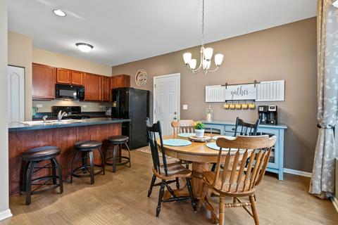 3604 Daisy Ln, Elgin, IL 60124 photo 8