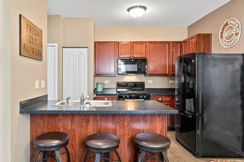 3604 Daisy Ln, Elgin, IL 60124 photo 9