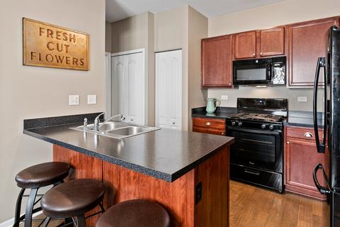 3604 Daisy Ln, Elgin, IL 60124 photo 10