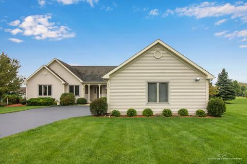 8401 Eagle Rdg, Spring Grove, IL 60081 photo 30