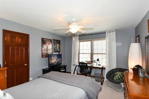 16962 Arbor Creek Dr, Plainfield, IL 60586 photo 21
