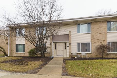 1725 Robin Ln #D, Hoffman Estates, IL 60169 photo 1