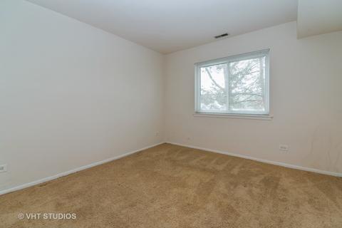 1725 Robin Ln #D, Hoffman Estates, IL 60169 photo 10