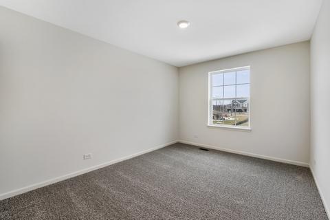 13602 Arborview Cir, Plainfield, IL 60585 photo 21
