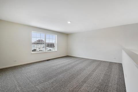 13602 Arborview Cir, Plainfield, IL 60585 photo 17