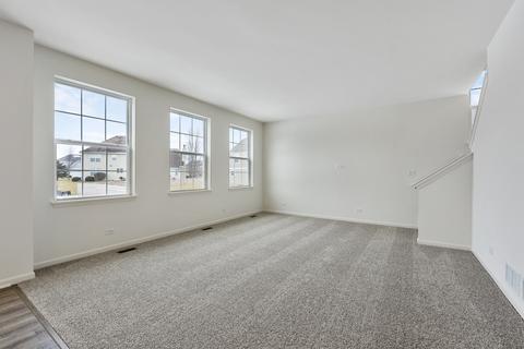 13602 Arborview Cir, Plainfield, IL 60585 photo 15