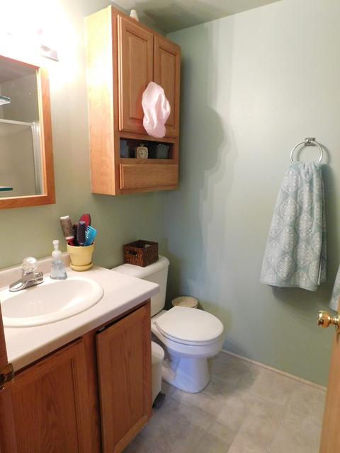 390 W Erickson Gate Dr, Lee, IL 60530 photo 10