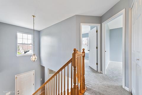 2700 Crested Butte Trl, Plainfield, IL 60586 photo 15