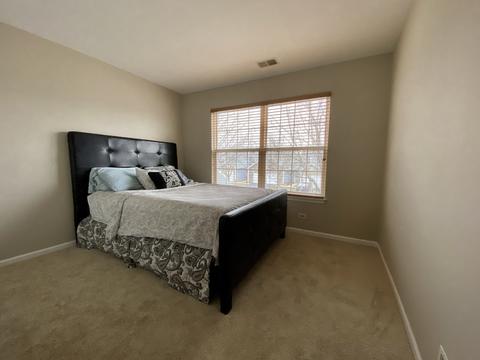 202 Grandview Ct, Algonquin, IL 60102 photo 17