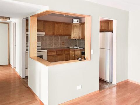 1203 Pleasant Run Dr #111, Wheeling, IL 60090 photo 12