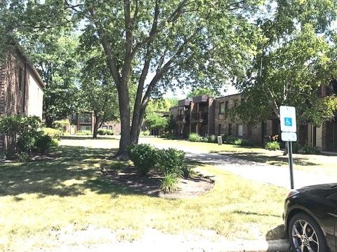 1203 Pleasant Run Dr #111, Wheeling, IL 60090 photo 38